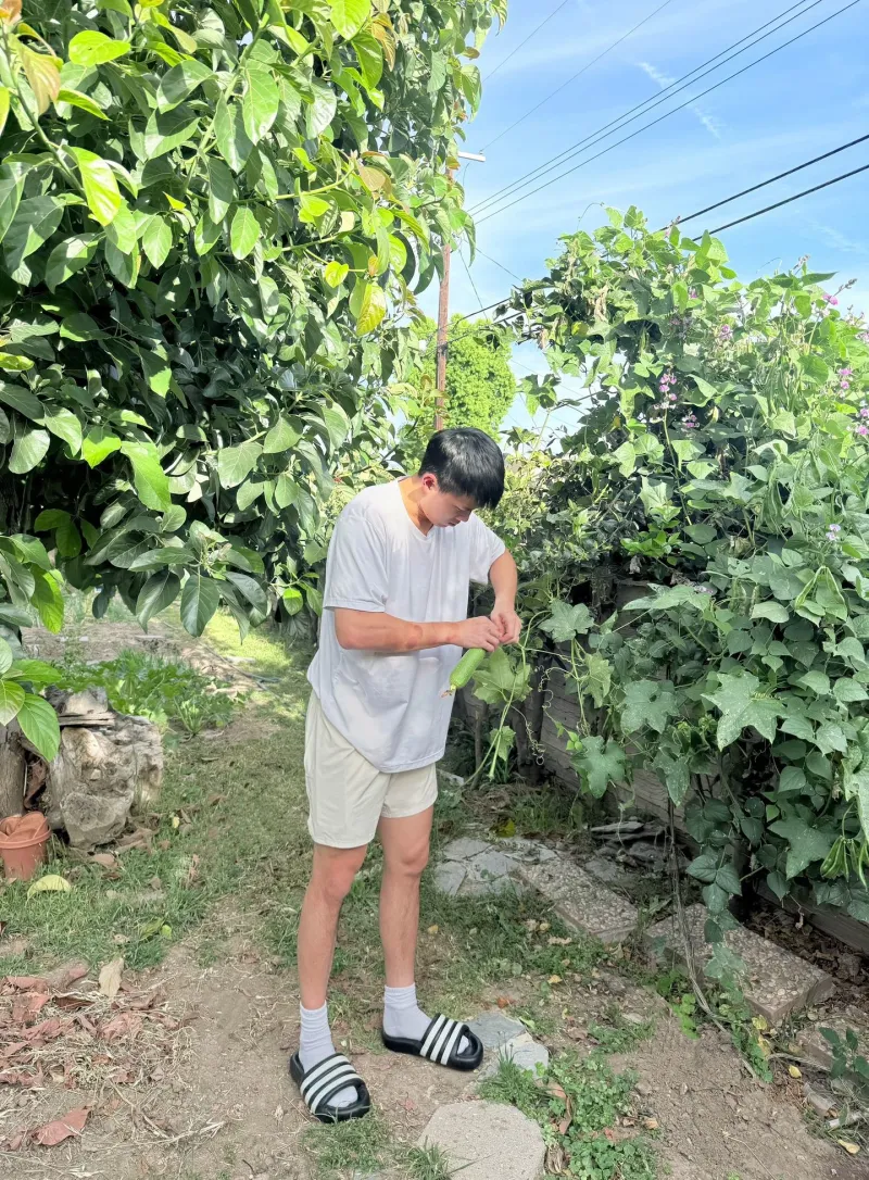 留洋球员林葳更新社媒分享生活图集并配文：近期